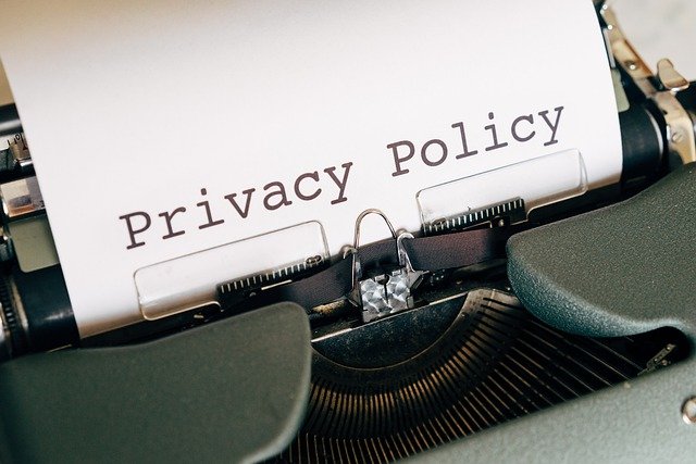 A bold black text "Healthians Wellness World Privacy"